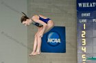 Maddy Morrison  Wheaton College Women's diver Maddy Morrison competes against Babson College, January 11, 2020. - Photo By: KEITH NORDSTROM : Wheaton, Swimming, Maddy Morrison
